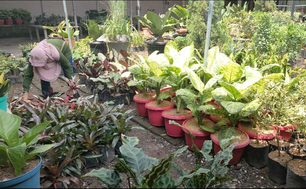 Kios Bunga Mbak Yah Pernah Kirim Bunga ke Pontianak dan&nbsp;Lombok